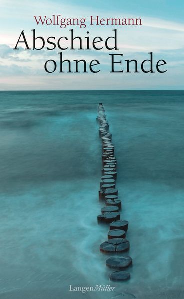 Cover von Abschied ohne Ende
