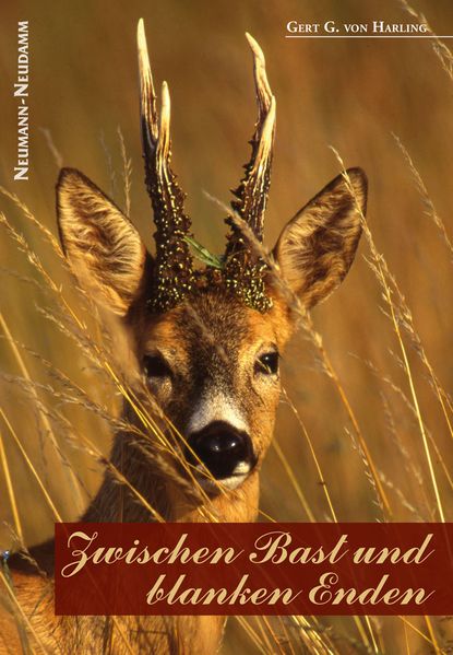 Cover von Zwischen Bast und blanken Enden