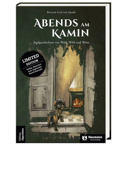Cover von Abends am Kamin