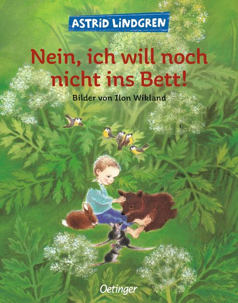Cover von Nein, ich will noch nicht ins Bett!
