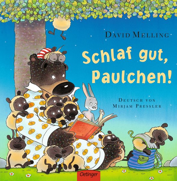 Cover von Schlaf gut, Paulchen!