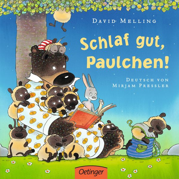 Cover von Schlaf gut, Paulchen!