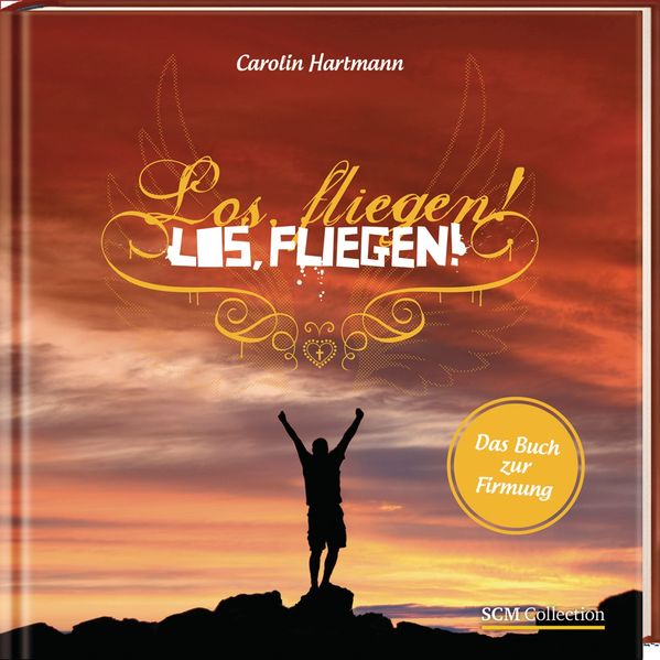 Cover von Los, fliegen!