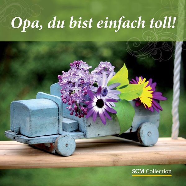 Cover von Opa, du bist einfach toll!