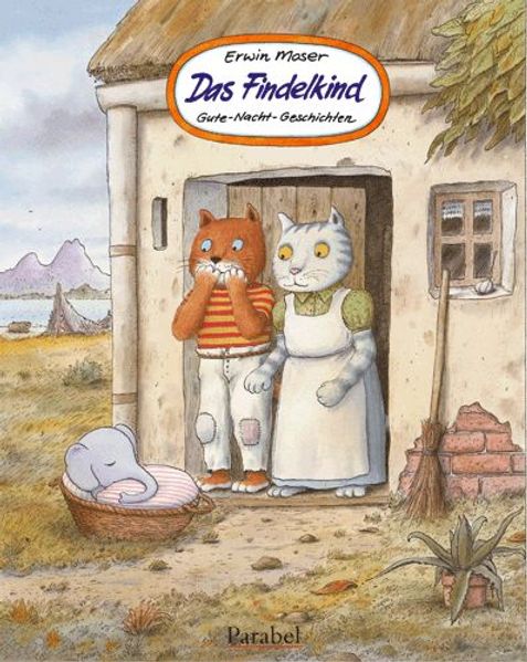 Cover von Das Findelkind
