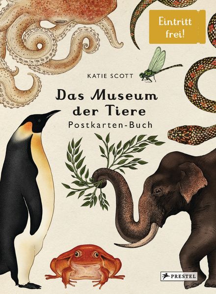 Cover von Das Museum der Tiere. Postkartenbuch