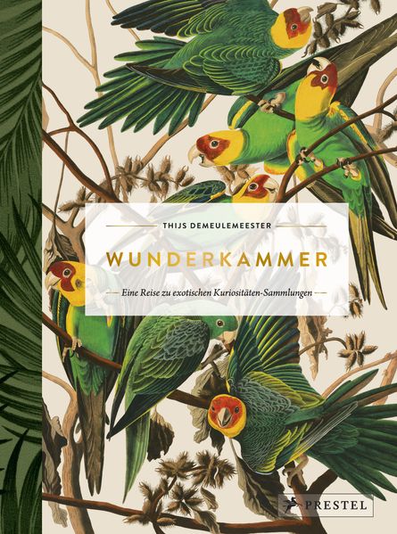 Cover von Wunderkammer