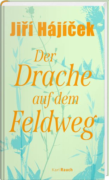 Cover von Der Drache auf dem Feldweg