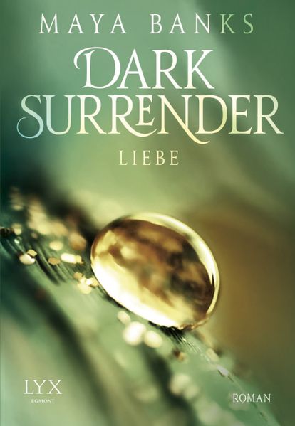 Cover von Dark Surrender – Liebe