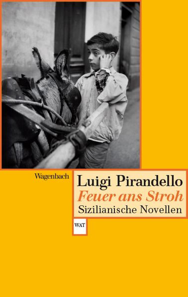 Cover von Feuer ans Stroh