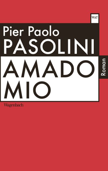 Cover von Amado mio