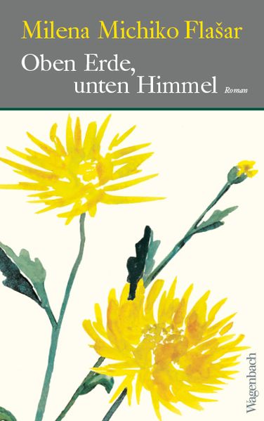 Cover von Oben Erde, unten Himmel