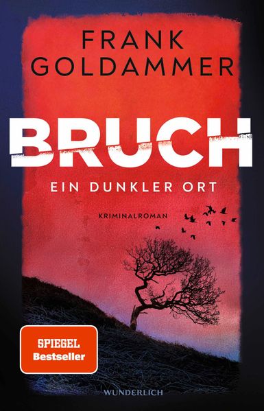 Cover von Bruch – ein dunkler Ort