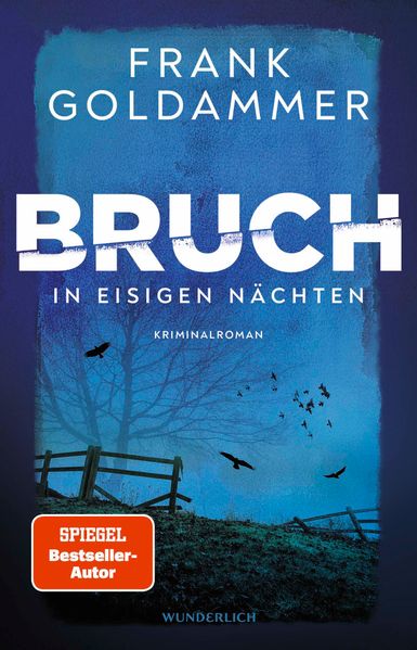 Cover von Bruch – in eisigen Nächten