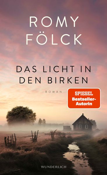 Cover von Das Licht in den Birken