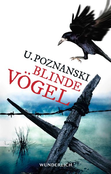 Cover von Blinde Vögel
