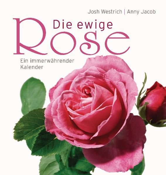 Cover von Die ewige Rose