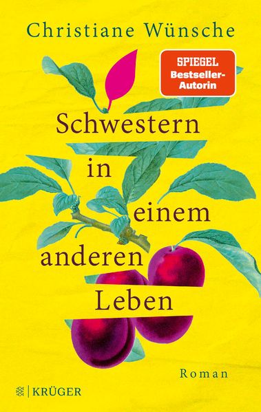 Cover von Schwestern in einem anderen Leben