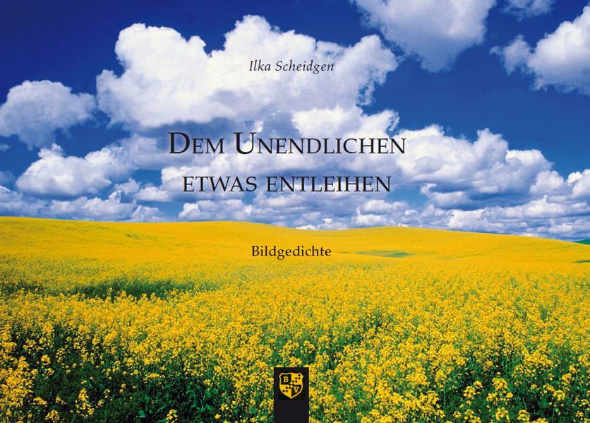 Cover von Dem Unendlichen etwas entleihen