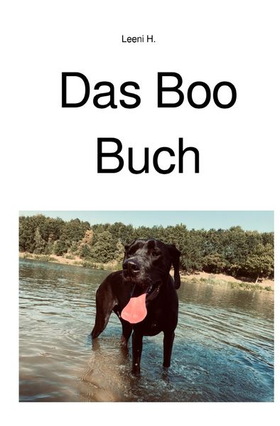Cover von Das Boo Buch