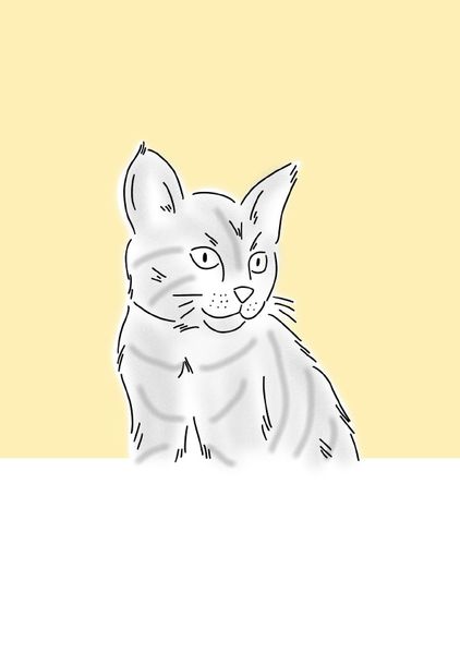 Cover von Notizheft Katzen gelb