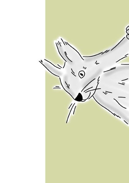 Cover von Notizheft Wald Eichhörnchen