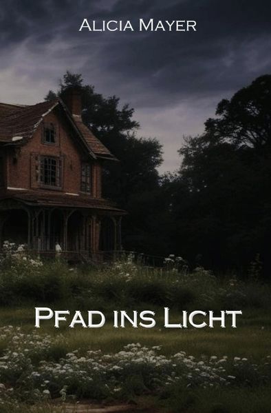 Cover von Pfad ins Licht