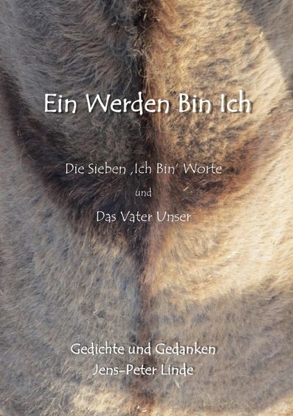 Cover von Ein Werden Bin Ich