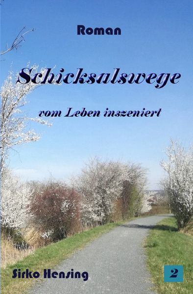 Cover von Schicksalswege