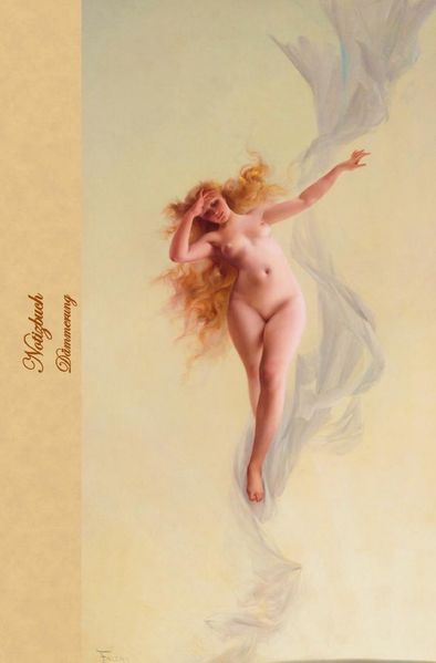 Cover von Notizbuch Dämmerung