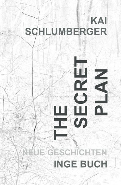 Cover von The secret plan oder der Weg ins Licht