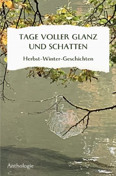 Cover von Monatsgeschichten/TAGE VOLLER GLANZ UND SCHATTEN