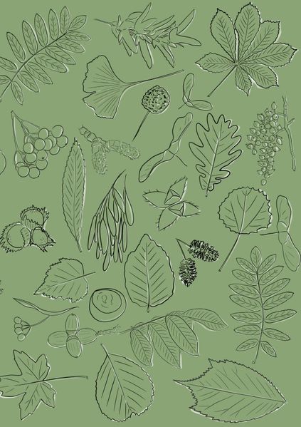 Cover von Notizheft Leaves & Fruit