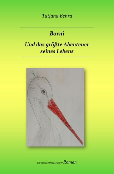Cover von Borni und das größte Abenteuer seines Lebens