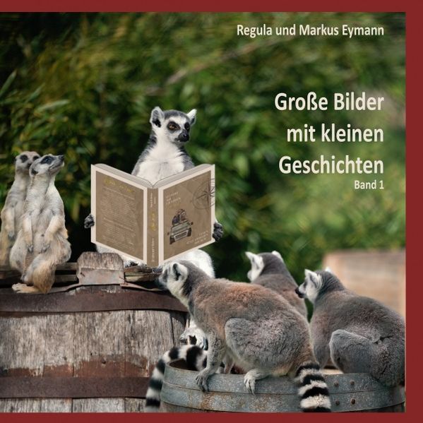Cover von Große Bilder mit kleinen Geschichten/Grosse Bilder – mit kleinen Geschichten – Band 1
