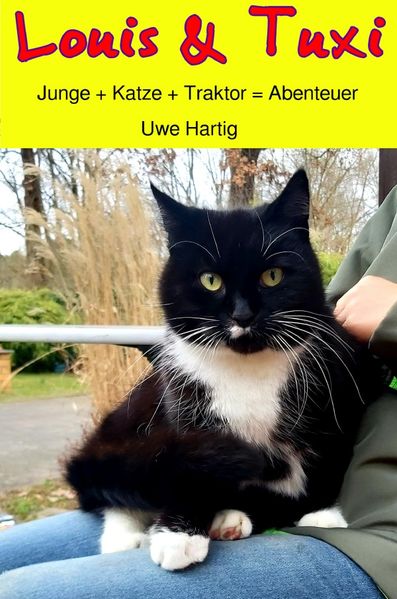 Cover von Louis & Tuxi