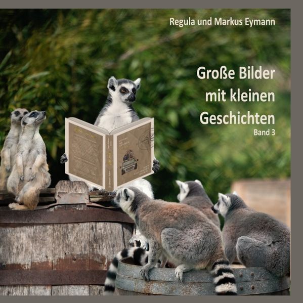 Cover von Große Bilder mit kleinen Geschichten/Grosse Bilder – mit kleinen Geschichten – Band 3