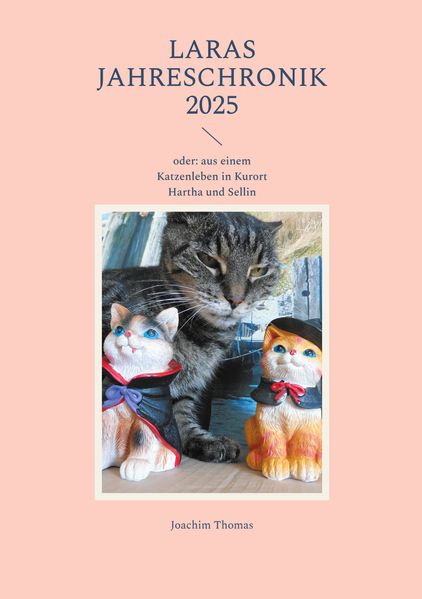Cover von Laras Jahreschronik 2025