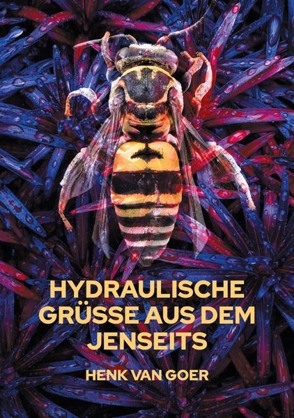 Cover von Hydraulische Grüße aus dem Jenseits