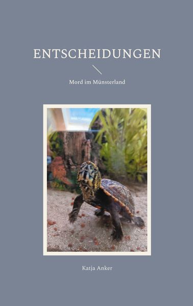 Cover von Entscheidungen