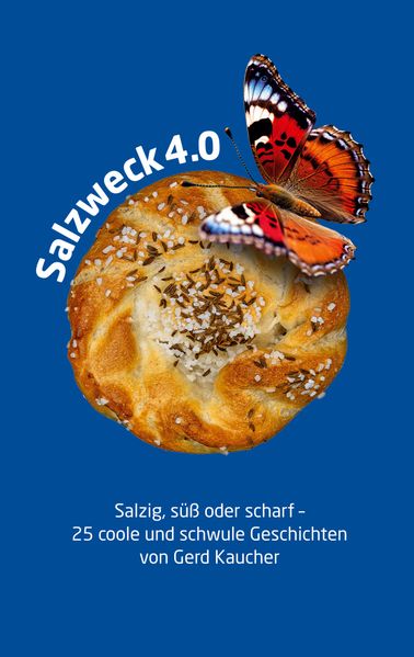 Cover von Salzweck 4.0