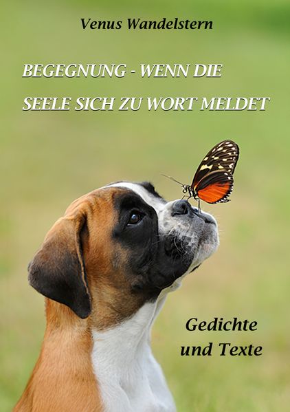 Cover von Begegnung – wenn die Seele sich zu Wort meldet