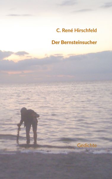 Cover von Der Bernsteinsucher