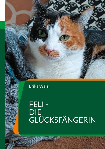Cover von Feli – die Glücksfängerin
