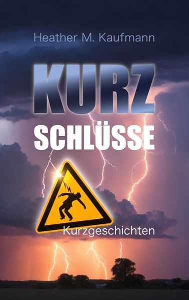 Cover von Kurzschlüsse