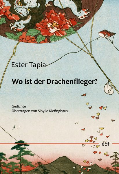 Cover von Wo ist der Drachenflieger?