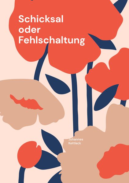 Cover von Schicksal oder Fehlschaltung