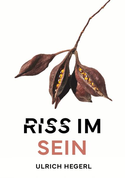 Cover von Riss im Sein