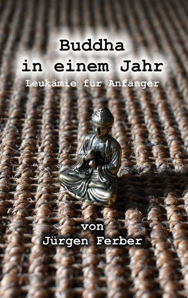 Cover von Buddha in einem Jahr