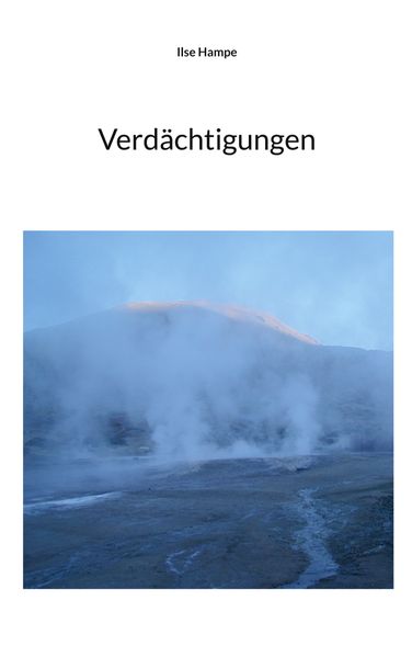 Cover von Verdächtigungen